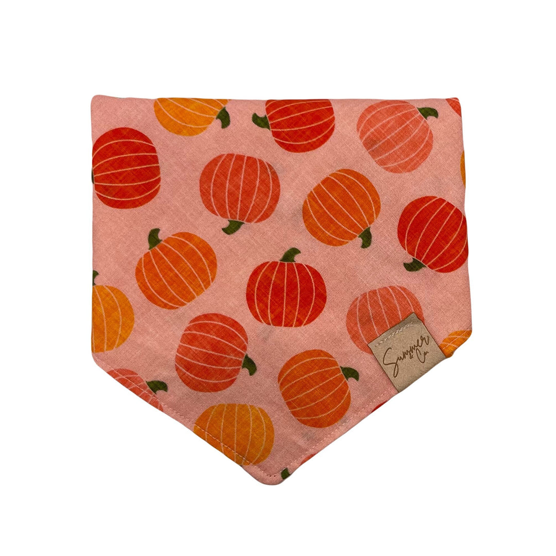 Picking a Pink Pumpkin