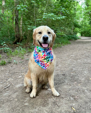 A golden retriever is sitting in the woods wearing a dog bandana with an ombre rainbow heart pattern.